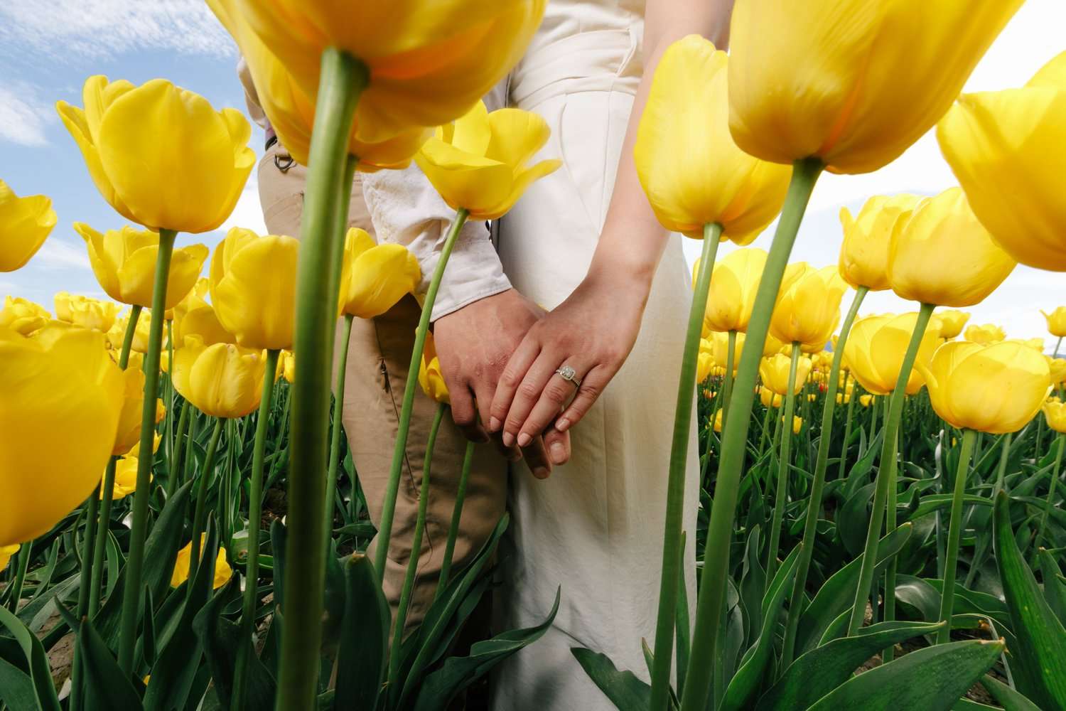 Proljetni horoskop za ljubav!