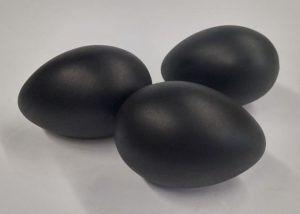 crna jaja